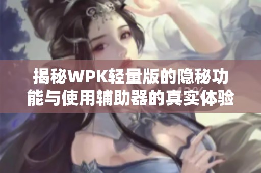 揭秘WPK轻量版的隐秘功能与使用辅助器的真实体验