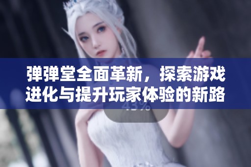 弹弹堂全面革新，探索游戏进化与提升玩家体验的新路径