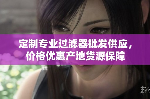 定制专业过滤器批发供应，价格优惠产地货源保障