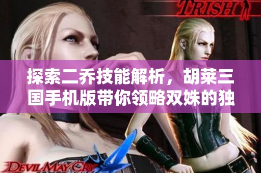 探索二乔技能解析，胡莱三国手机版带你领略双姝的独特魅力与战斗技巧