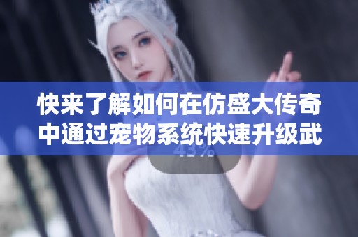快来了解如何在仿盛大传奇中通过宠物系统快速升级武器等级的方法解析