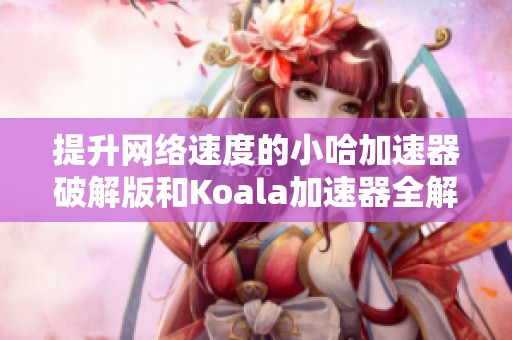 提升网络速度的小哈加速器破解版和Koala加速器全解析