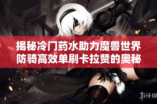 揭秘冷门药水助力魔兽世界防骑高效单刷卡拉赞的奥秘与技巧