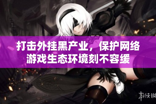 打击外挂黑产业，保护网络游戏生态环境刻不容缓