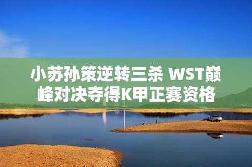 小苏孙策逆转三杀 WST巅峰对决夺得K甲正赛资格