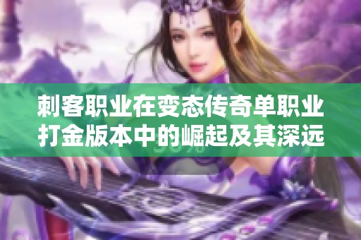 刺客职业在变态传奇单职业打金版本中的崛起及其深远影响分析