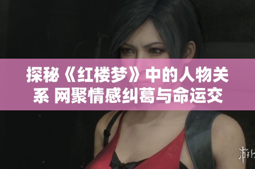 探秘《红楼梦》中的人物关系 网聚情感纠葛与命运交织