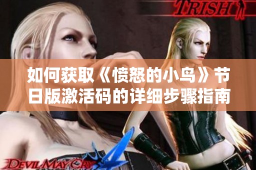 如何获取《愤怒的小鸟》节日版激活码的详细步骤指南