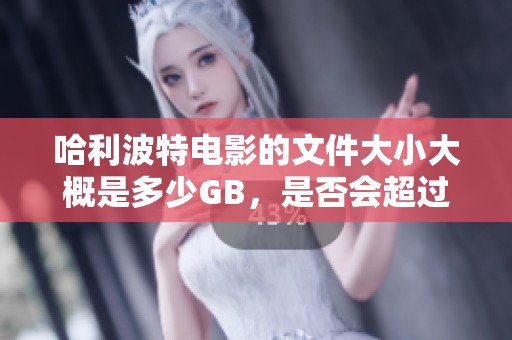 哈利波特电影的文件大小大概是多少GB，是否会超过4GB设置限制？