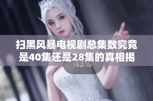 扫黑风暴电视剧总集数究竟是40集还是28集的真相揭秘