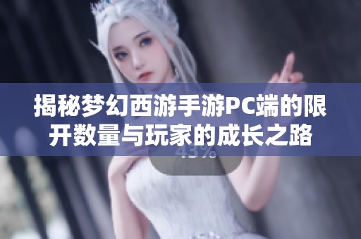 揭秘梦幻西游手游PC端的限开数量与玩家的成长之路