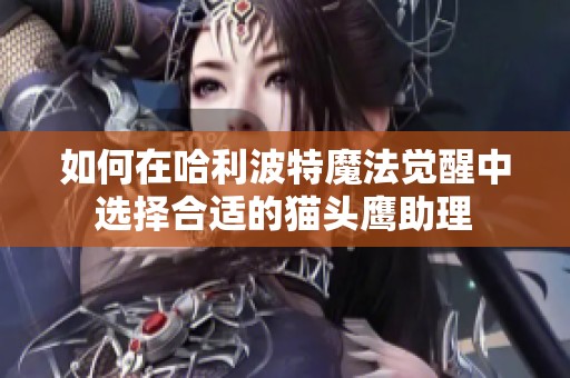 如何在哈利波特魔法觉醒中选择合适的猫头鹰助理