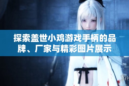探索盖世小鸡游戏手柄的品牌、厂家与精彩图片展示