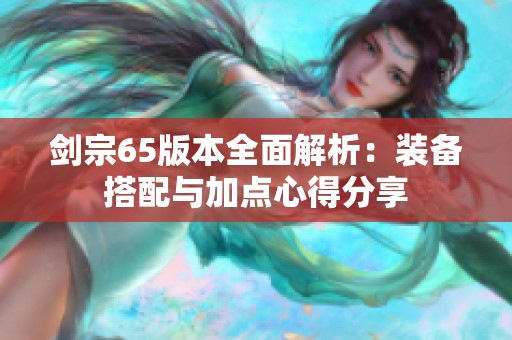 剑宗65版本全面解析：装备搭配与加点心得分享