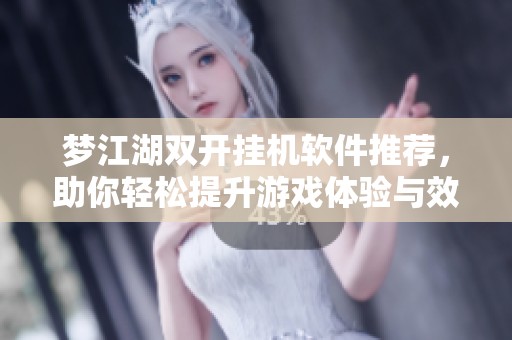 梦江湖双开挂机软件推荐，助你轻松提升游戏体验与效率