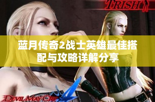 蓝月传奇2战士英雄最佳搭配与攻略详解分享