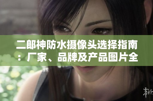 二郎神防水摄像头选择指南：厂家、品牌及产品图片全解析