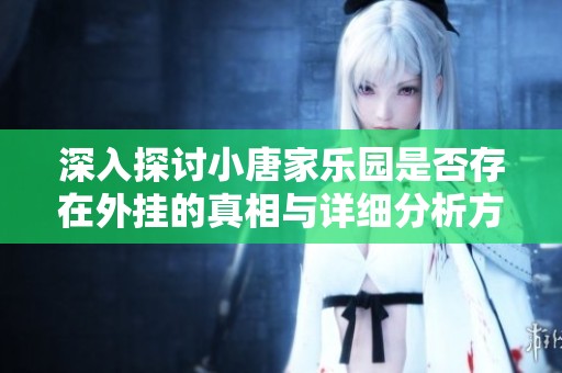 深入探讨小唐家乐园是否存在外挂的真相与详细分析方法