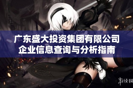 广东盛大投资集团有限公司企业信息查询与分析指南