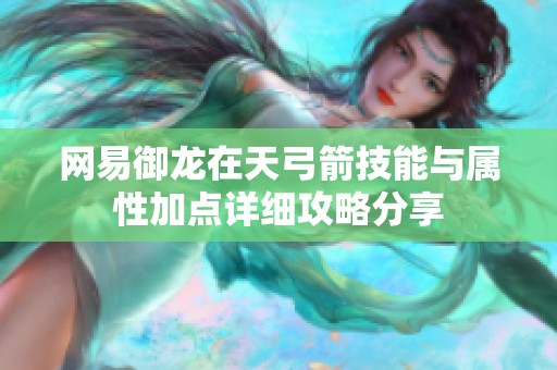 网易御龙在天弓箭技能与属性加点详细攻略分享
