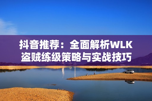 抖音推荐：全面解析WLK盗贼练级策略与实战技巧