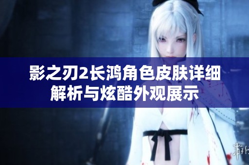 影之刃2长鸿角色皮肤详细解析与炫酷外观展示