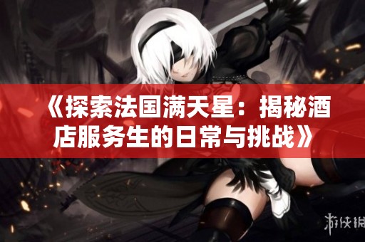 《探索法国满天星：揭秘酒店服务生的日常与挑战》