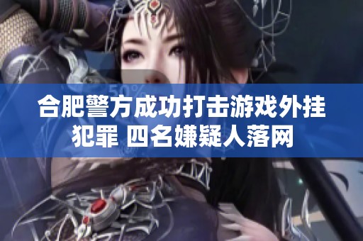 合肥警方成功打击游戏外挂犯罪 四名嫌疑人落网