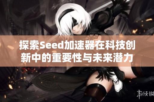 探索Seed加速器在科技创新中的重要性与未来潜力