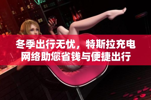 冬季出行无忧，特斯拉充电网络助您省钱与便捷出行