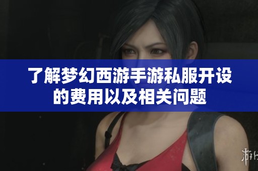了解梦幻西游手游私服开设的费用以及相关问题