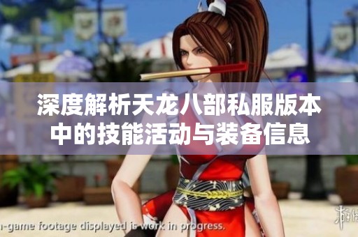 深度解析天龙八部私服版本中的技能活动与装备信息