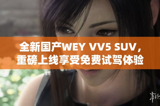 全新国产WEY VV5 SUV，重磅上线享受免费试驾体验
