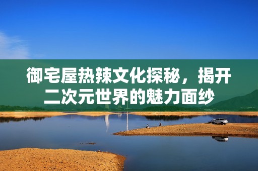 御宅屋热辣文化探秘，揭开二次元世界的魅力面纱