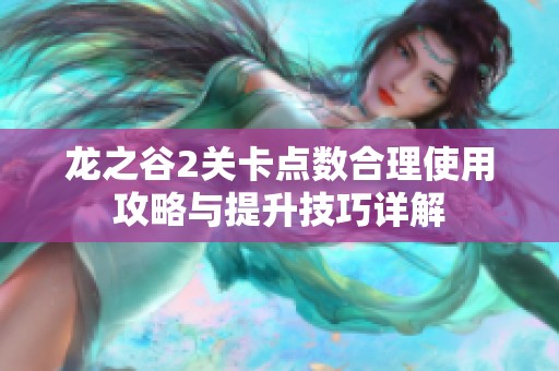 龙之谷2关卡点数合理使用攻略与提升技巧详解