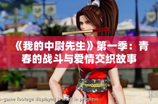 《我的中尉先生》第一季：青春的战斗与爱情交织故事