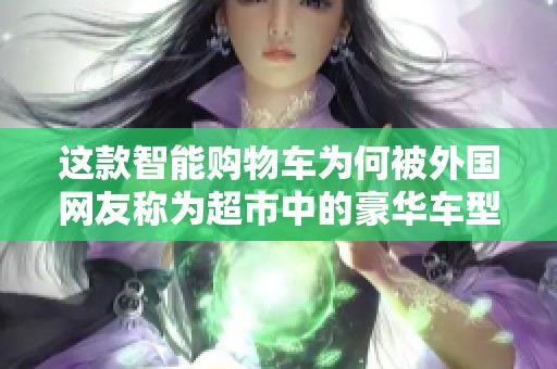 这款智能购物车为何被外国网友称为超市中的豪华车型