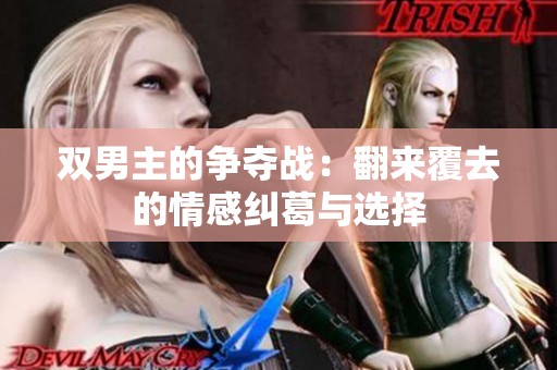 双男主的争夺战：翻来覆去的情感纠葛与选择