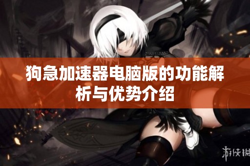 狗急加速器电脑版的功能解析与优势介绍