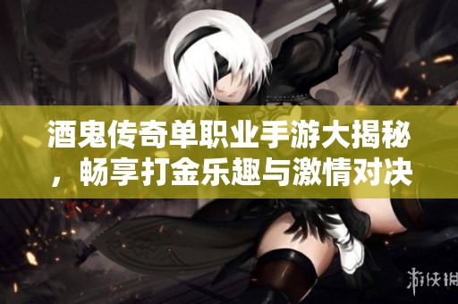 酒鬼传奇单职业手游大揭秘，畅享打金乐趣与激情对决