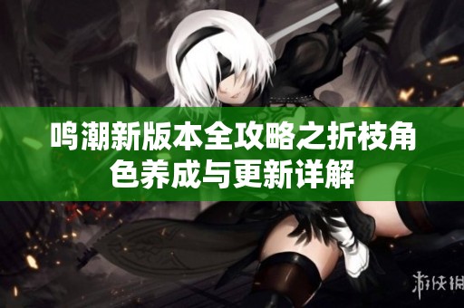 鸣潮新版本全攻略之折枝角色养成与更新详解