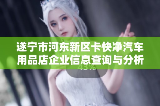 遂宁市河东新区卡快净汽车用品店企业信息查询与分析