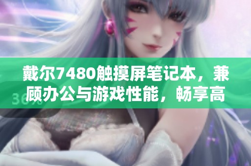 戴尔7480触摸屏笔记本，兼顾办公与游戏性能，畅享高分辨率体验