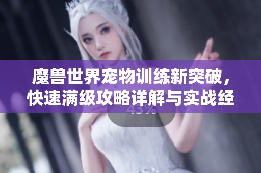 魔兽世界宠物训练新突破，快速满级攻略详解与实战经验分享