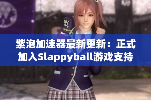 紫泡加速器最新更新：正式加入Slappyball游戏支持功能