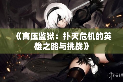 《高压监狱：扑灭危机的英雄之路与挑战》
