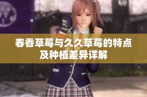 春香草莓与久久草莓的特点及种植差异详解