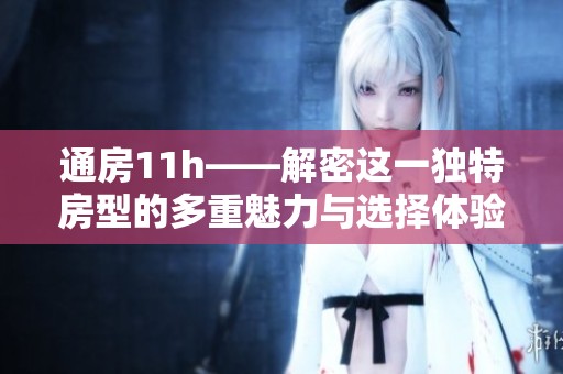 通房11h——解密这一独特房型的多重魅力与选择体验