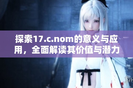 探索17.c.nom的意义与应用，全面解读其价值与潜力