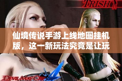 仙境传说手游上线地图挂机版，这一新玩法究竟是让玩家受益还是埋下潜在风险？
